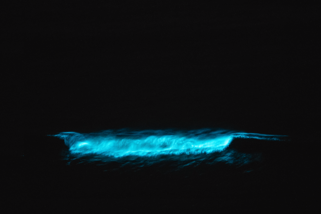 bioluminescence-isla-holbox-yucatan-peninsula-mexico-girl-go-travel-the-world-female-travel-blog (2)