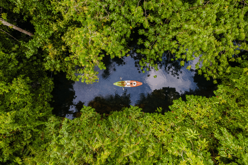 kayak-mangroves-isla-holbox-yucatan-peninsula-mexico-girl-go-travel-the-world-female-travel-blog
