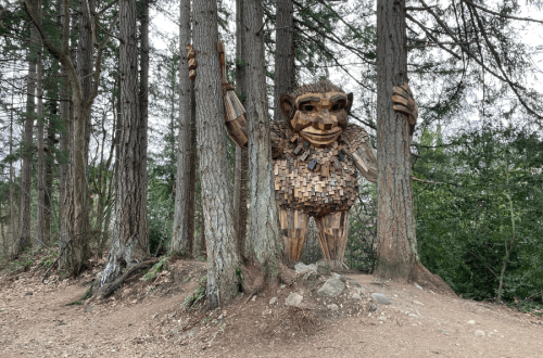 issaquah-thomas-dambo-trolls-near-seattle-girl-go-travel-the-world