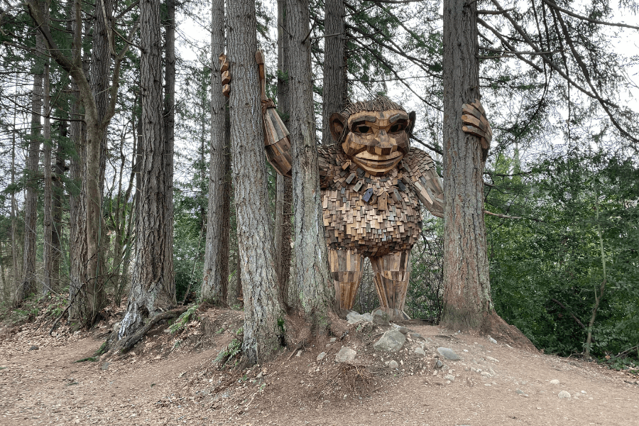 issaquah-thomas-dambo-trolls-near-seattle-girl-go-travel-the-world