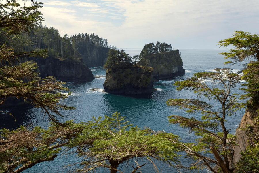 things-to-do-in-the-olympic-peninsula-cape-flattery-olympic-peninsula-washington-girl-go-travel-the-world