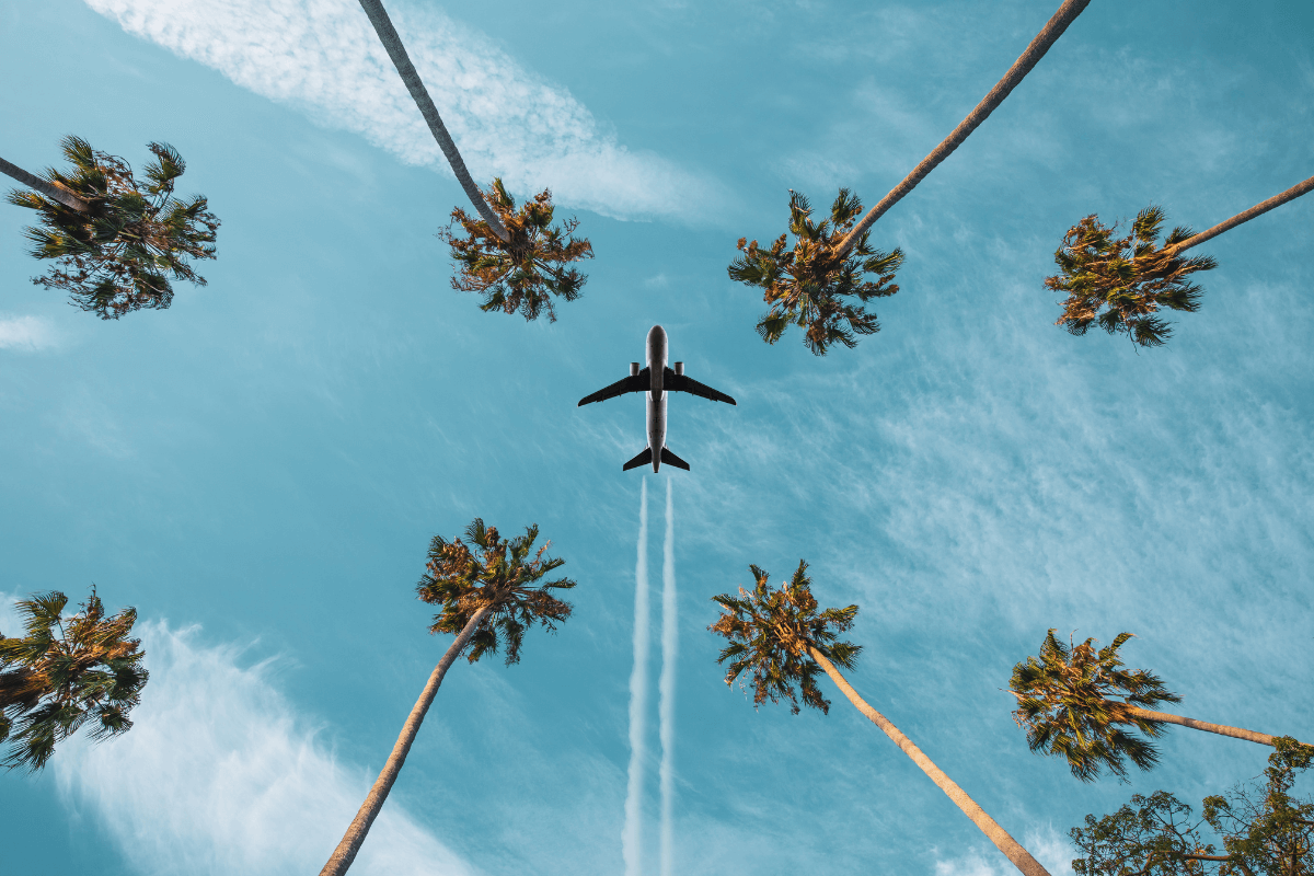 Best Travel Credit Cards for Solo Travelers