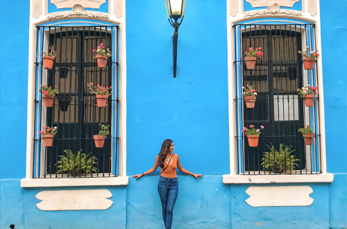 girl-in-front-of-blue-wall-with-flowers-mexico