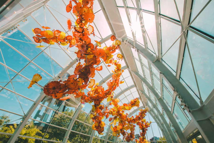 things-to-do-in-seattle-in-the-fall-chihuly-museum