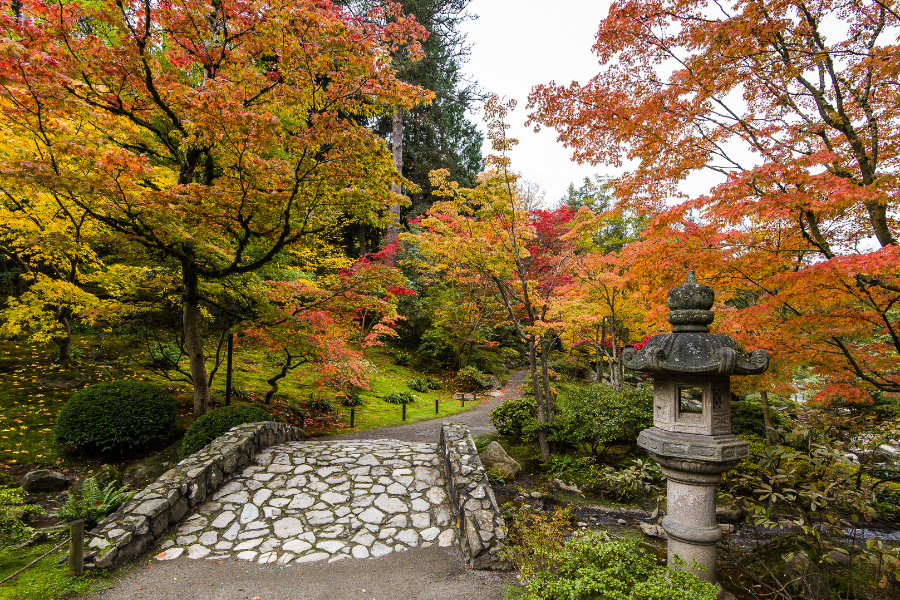 seattle-japanese-gardens