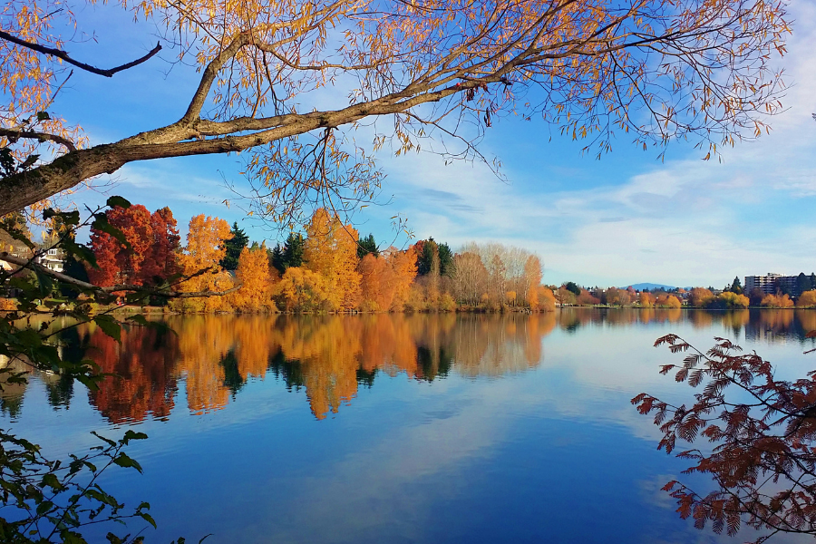walk-around-green-lake-seattle